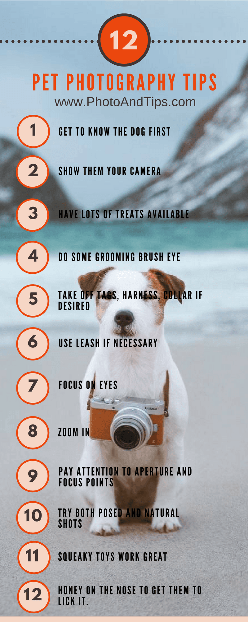 12_Pet_Photography_Tips