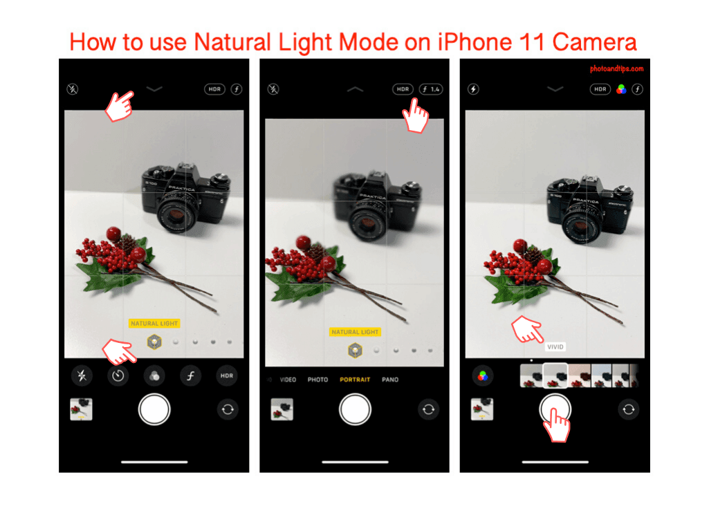 How to use Natural Light Mode on iPhone 11 Camera app