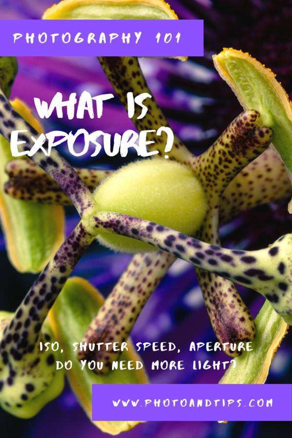 PHOTOGRAPHY 101_ WHAT IS EXPOSURE?