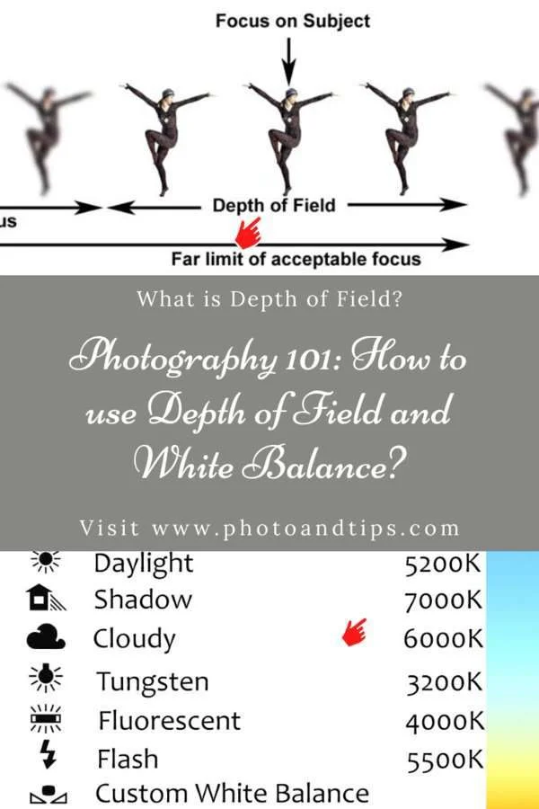Photography 101_ How to use Depth of Field and White Balance