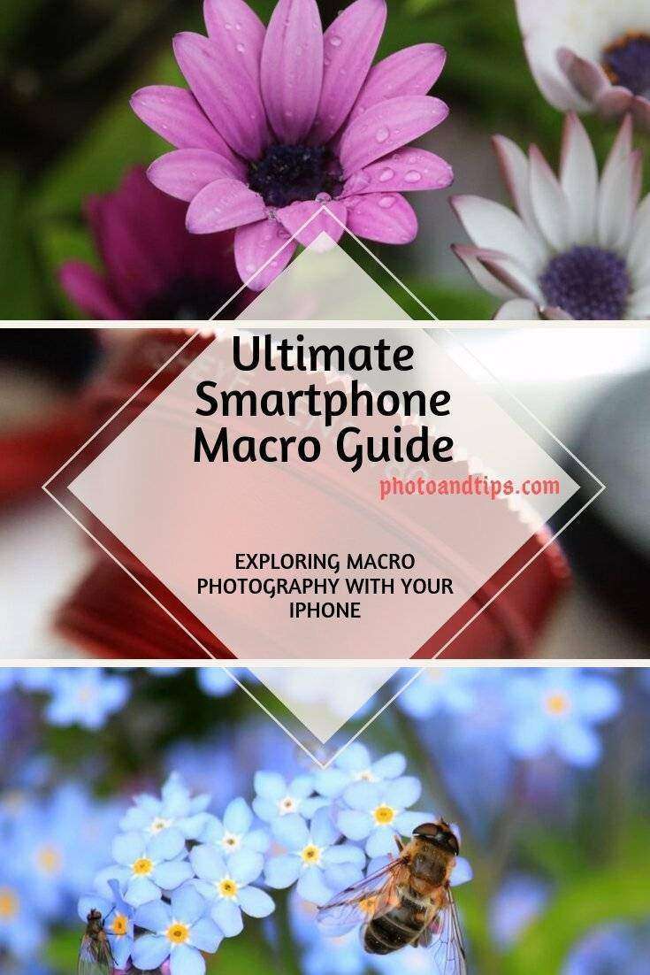Ultimate Smartphone Close-up and Macro Guide